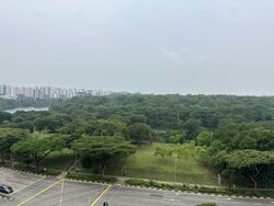 Riversound Residence (D19), Condominium #635837851